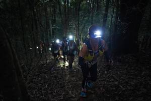 BIB: 
                            <button type="button" onclick="openModal(16056996)" class="btn btn-primary btn-sm float-right btn-popup" data-toggle="modal" data-target=".modal-high-quality">
                        <i class="fas fa-shopping-cart"></i> Add to Cart
                    </button>
                                            <button type="button" onclick="isThisMe(16056996, true)" class="btn btn-success btn-sm float-right btn-popup btn-isme hidden" data-toggle="tooltip" data-placement="bottom" title="นี่คือรูปของคุณใช่ไหม คลิกที่นี่เพื่อเอาเข้าอัลบั้ม">
                        <i class="fas fa-plus"></i> Add to album
                    </button>
                    <button type="button" onclick="isThisMe(16056996, false)" class="btn btn-warning btn-sm float-right btn-popup btn-isnotme hidden">
                        <i class="fas fa-ban"></i> Remove from album
                    </button>