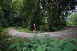 BIB: 
                            <button type="button" onclick="openModal(16057068)" class="btn btn-primary btn-sm float-right btn-popup" data-toggle="modal" data-target=".modal-high-quality">
                        <i class="fas fa-shopping-cart"></i> Add to Cart
                    </button>
                                            <button type="button" onclick="isThisMe(16057068, true)" class="btn btn-success btn-sm float-right btn-popup btn-isme hidden" data-toggle="tooltip" data-placement="bottom" title="นี่คือรูปของคุณใช่ไหม คลิกที่นี่เพื่อเอาเข้าอัลบั้ม">
                        <i class="fas fa-plus"></i> Add to album
                    </button>
                    <button type="button" onclick="isThisMe(16057068, false)" class="btn btn-warning btn-sm float-right btn-popup btn-isnotme hidden">
                        <i class="fas fa-ban"></i> Remove from album
                    </button>