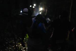 BIB: 
                            <button type="button" onclick="openModal(16056655)" class="btn btn-primary btn-sm float-right btn-popup" data-toggle="modal" data-target=".modal-high-quality">
                        <i class="fas fa-shopping-cart"></i> Add to Cart
                    </button>
                                            <button type="button" onclick="isThisMe(16056655, true)" class="btn btn-success btn-sm float-right btn-popup btn-isme hidden" data-toggle="tooltip" data-placement="bottom" title="นี่คือรูปของคุณใช่ไหม คลิกที่นี่เพื่อเอาเข้าอัลบั้ม">
                        <i class="fas fa-plus"></i> Add to album
                    </button>
                    <button type="button" onclick="isThisMe(16056655, false)" class="btn btn-warning btn-sm float-right btn-popup btn-isnotme hidden">
                        <i class="fas fa-ban"></i> Remove from album
                    </button>