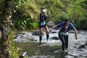 BIB: 
                            <button type="button" onclick="openModal(16056766)" class="btn btn-primary btn-sm float-right btn-popup" data-toggle="modal" data-target=".modal-high-quality">
                        <i class="fas fa-shopping-cart"></i> Add to Cart
                    </button>
                                            <button type="button" onclick="isThisMe(16056766, true)" class="btn btn-success btn-sm float-right btn-popup btn-isme hidden" data-toggle="tooltip" data-placement="bottom" title="นี่คือรูปของคุณใช่ไหม คลิกที่นี่เพื่อเอาเข้าอัลบั้ม">
                        <i class="fas fa-plus"></i> Add to album
                    </button>
                    <button type="button" onclick="isThisMe(16056766, false)" class="btn btn-warning btn-sm float-right btn-popup btn-isnotme hidden">
                        <i class="fas fa-ban"></i> Remove from album
                    </button>