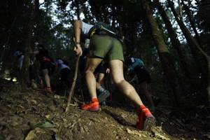 BIB: 
                            <button type="button" onclick="openModal(16056986)" class="btn btn-primary btn-sm float-right btn-popup" data-toggle="modal" data-target=".modal-high-quality">
                        <i class="fas fa-shopping-cart"></i> Add to Cart
                    </button>
                                            <button type="button" onclick="isThisMe(16056986, true)" class="btn btn-success btn-sm float-right btn-popup btn-isme hidden" data-toggle="tooltip" data-placement="bottom" title="นี่คือรูปของคุณใช่ไหม คลิกที่นี่เพื่อเอาเข้าอัลบั้ม">
                        <i class="fas fa-plus"></i> Add to album
                    </button>
                    <button type="button" onclick="isThisMe(16056986, false)" class="btn btn-warning btn-sm float-right btn-popup btn-isnotme hidden">
                        <i class="fas fa-ban"></i> Remove from album
                    </button>