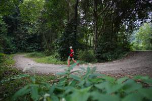 BIB: 
                            <button type="button" onclick="openModal(16057067)" class="btn btn-primary btn-sm float-right btn-popup" data-toggle="modal" data-target=".modal-high-quality">
                        <i class="fas fa-shopping-cart"></i> Add to Cart
                    </button>
                                            <button type="button" onclick="isThisMe(16057067, true)" class="btn btn-success btn-sm float-right btn-popup btn-isme hidden" data-toggle="tooltip" data-placement="bottom" title="นี่คือรูปของคุณใช่ไหม คลิกที่นี่เพื่อเอาเข้าอัลบั้ม">
                        <i class="fas fa-plus"></i> Add to album
                    </button>
                    <button type="button" onclick="isThisMe(16057067, false)" class="btn btn-warning btn-sm float-right btn-popup btn-isnotme hidden">
                        <i class="fas fa-ban"></i> Remove from album
                    </button>