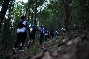 BIB: 
                            <button type="button" onclick="openModal(16057049)" class="btn btn-primary btn-sm float-right btn-popup" data-toggle="modal" data-target=".modal-high-quality">
                        <i class="fas fa-shopping-cart"></i> Add to Cart
                    </button>
                                            <button type="button" onclick="isThisMe(16057049, true)" class="btn btn-success btn-sm float-right btn-popup btn-isme hidden" data-toggle="tooltip" data-placement="bottom" title="นี่คือรูปของคุณใช่ไหม คลิกที่นี่เพื่อเอาเข้าอัลบั้ม">
                        <i class="fas fa-plus"></i> Add to album
                    </button>
                    <button type="button" onclick="isThisMe(16057049, false)" class="btn btn-warning btn-sm float-right btn-popup btn-isnotme hidden">
                        <i class="fas fa-ban"></i> Remove from album
                    </button>