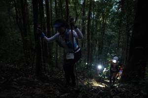 BIB: 
                            <button type="button" onclick="openModal(16056987)" class="btn btn-primary btn-sm float-right btn-popup" data-toggle="modal" data-target=".modal-high-quality">
                        <i class="fas fa-shopping-cart"></i> Add to Cart
                    </button>
                                            <button type="button" onclick="isThisMe(16056987, true)" class="btn btn-success btn-sm float-right btn-popup btn-isme hidden" data-toggle="tooltip" data-placement="bottom" title="นี่คือรูปของคุณใช่ไหม คลิกที่นี่เพื่อเอาเข้าอัลบั้ม">
                        <i class="fas fa-plus"></i> Add to album
                    </button>
                    <button type="button" onclick="isThisMe(16056987, false)" class="btn btn-warning btn-sm float-right btn-popup btn-isnotme hidden">
                        <i class="fas fa-ban"></i> Remove from album
                    </button>