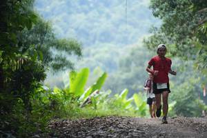 BIB: 
                            <button type="button" onclick="openModal(16056693)" class="btn btn-primary btn-sm float-right btn-popup" data-toggle="modal" data-target=".modal-high-quality">
                        <i class="fas fa-shopping-cart"></i> Add to Cart
                    </button>
                                            <button type="button" onclick="isThisMe(16056693, true)" class="btn btn-success btn-sm float-right btn-popup btn-isme hidden" data-toggle="tooltip" data-placement="bottom" title="นี่คือรูปของคุณใช่ไหม คลิกที่นี่เพื่อเอาเข้าอัลบั้ม">
                        <i class="fas fa-plus"></i> Add to album
                    </button>
                    <button type="button" onclick="isThisMe(16056693, false)" class="btn btn-warning btn-sm float-right btn-popup btn-isnotme hidden">
                        <i class="fas fa-ban"></i> Remove from album
                    </button>