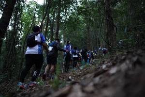 BIB: 
                            <button type="button" onclick="openModal(16057050)" class="btn btn-primary btn-sm float-right btn-popup" data-toggle="modal" data-target=".modal-high-quality">
                        <i class="fas fa-shopping-cart"></i> Add to Cart
                    </button>
                                            <button type="button" onclick="isThisMe(16057050, true)" class="btn btn-success btn-sm float-right btn-popup btn-isme hidden" data-toggle="tooltip" data-placement="bottom" title="นี่คือรูปของคุณใช่ไหม คลิกที่นี่เพื่อเอาเข้าอัลบั้ม">
                        <i class="fas fa-plus"></i> Add to album
                    </button>
                    <button type="button" onclick="isThisMe(16057050, false)" class="btn btn-warning btn-sm float-right btn-popup btn-isnotme hidden">
                        <i class="fas fa-ban"></i> Remove from album
                    </button>