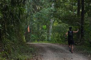 BIB: 
                            <button type="button" onclick="openModal(16056674)" class="btn btn-primary btn-sm float-right btn-popup" data-toggle="modal" data-target=".modal-high-quality">
                        <i class="fas fa-shopping-cart"></i> Add to Cart
                    </button>
                                            <button type="button" onclick="isThisMe(16056674, true)" class="btn btn-success btn-sm float-right btn-popup btn-isme hidden" data-toggle="tooltip" data-placement="bottom" title="นี่คือรูปของคุณใช่ไหม คลิกที่นี่เพื่อเอาเข้าอัลบั้ม">
                        <i class="fas fa-plus"></i> Add to album
                    </button>
                    <button type="button" onclick="isThisMe(16056674, false)" class="btn btn-warning btn-sm float-right btn-popup btn-isnotme hidden">
                        <i class="fas fa-ban"></i> Remove from album
                    </button>