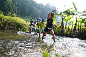 BIB: 
                            <button type="button" onclick="openModal(16057118)" class="btn btn-primary btn-sm float-right btn-popup" data-toggle="modal" data-target=".modal-high-quality">
                        <i class="fas fa-shopping-cart"></i> Add to Cart
                    </button>
                                            <button type="button" onclick="isThisMe(16057118, true)" class="btn btn-success btn-sm float-right btn-popup btn-isme hidden" data-toggle="tooltip" data-placement="bottom" title="นี่คือรูปของคุณใช่ไหม คลิกที่นี่เพื่อเอาเข้าอัลบั้ม">
                        <i class="fas fa-plus"></i> Add to album
                    </button>
                    <button type="button" onclick="isThisMe(16057118, false)" class="btn btn-warning btn-sm float-right btn-popup btn-isnotme hidden">
                        <i class="fas fa-ban"></i> Remove from album
                    </button>