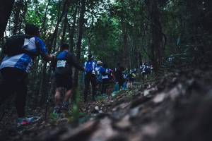 BIB: 
                            <button type="button" onclick="openModal(16057048)" class="btn btn-primary btn-sm float-right btn-popup" data-toggle="modal" data-target=".modal-high-quality">
                        <i class="fas fa-shopping-cart"></i> Add to Cart
                    </button>
                                            <button type="button" onclick="isThisMe(16057048, true)" class="btn btn-success btn-sm float-right btn-popup btn-isme hidden" data-toggle="tooltip" data-placement="bottom" title="นี่คือรูปของคุณใช่ไหม คลิกที่นี่เพื่อเอาเข้าอัลบั้ม">
                        <i class="fas fa-plus"></i> Add to album
                    </button>
                    <button type="button" onclick="isThisMe(16057048, false)" class="btn btn-warning btn-sm float-right btn-popup btn-isnotme hidden">
                        <i class="fas fa-ban"></i> Remove from album
                    </button>