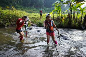 BIB: 
                            <button type="button" onclick="openModal(16057097)" class="btn btn-primary btn-sm float-right btn-popup" data-toggle="modal" data-target=".modal-high-quality">
                        <i class="fas fa-shopping-cart"></i> Add to Cart
                    </button>
                                            <button type="button" onclick="isThisMe(16057097, true)" class="btn btn-success btn-sm float-right btn-popup btn-isme hidden" data-toggle="tooltip" data-placement="bottom" title="นี่คือรูปของคุณใช่ไหม คลิกที่นี่เพื่อเอาเข้าอัลบั้ม">
                        <i class="fas fa-plus"></i> Add to album
                    </button>
                    <button type="button" onclick="isThisMe(16057097, false)" class="btn btn-warning btn-sm float-right btn-popup btn-isnotme hidden">
                        <i class="fas fa-ban"></i> Remove from album
                    </button>