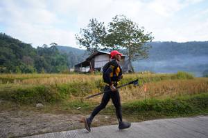 BIB: 
                            <button type="button" onclick="openModal(16057085)" class="btn btn-primary btn-sm float-right btn-popup" data-toggle="modal" data-target=".modal-high-quality">
                        <i class="fas fa-shopping-cart"></i> Add to Cart
                    </button>
                                            <button type="button" onclick="isThisMe(16057085, true)" class="btn btn-success btn-sm float-right btn-popup btn-isme hidden" data-toggle="tooltip" data-placement="bottom" title="นี่คือรูปของคุณใช่ไหม คลิกที่นี่เพื่อเอาเข้าอัลบั้ม">
                        <i class="fas fa-plus"></i> Add to album
                    </button>
                    <button type="button" onclick="isThisMe(16057085, false)" class="btn btn-warning btn-sm float-right btn-popup btn-isnotme hidden">
                        <i class="fas fa-ban"></i> Remove from album
                    </button>