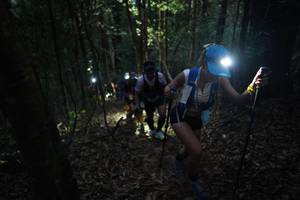 BIB: 
                            <button type="button" onclick="openModal(16056997)" class="btn btn-primary btn-sm float-right btn-popup" data-toggle="modal" data-target=".modal-high-quality">
                        <i class="fas fa-shopping-cart"></i> Add to Cart
                    </button>
                                            <button type="button" onclick="isThisMe(16056997, true)" class="btn btn-success btn-sm float-right btn-popup btn-isme hidden" data-toggle="tooltip" data-placement="bottom" title="นี่คือรูปของคุณใช่ไหม คลิกที่นี่เพื่อเอาเข้าอัลบั้ม">
                        <i class="fas fa-plus"></i> Add to album
                    </button>
                    <button type="button" onclick="isThisMe(16056997, false)" class="btn btn-warning btn-sm float-right btn-popup btn-isnotme hidden">
                        <i class="fas fa-ban"></i> Remove from album
                    </button>