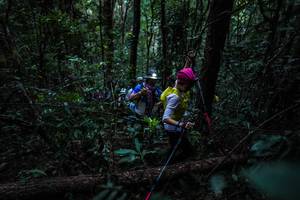 BIB: 
                            <button type="button" onclick="openModal(16057036)" class="btn btn-primary btn-sm float-right btn-popup" data-toggle="modal" data-target=".modal-high-quality">
                        <i class="fas fa-shopping-cart"></i> Add to Cart
                    </button>
                                            <button type="button" onclick="isThisMe(16057036, true)" class="btn btn-success btn-sm float-right btn-popup btn-isme hidden" data-toggle="tooltip" data-placement="bottom" title="นี่คือรูปของคุณใช่ไหม คลิกที่นี่เพื่อเอาเข้าอัลบั้ม">
                        <i class="fas fa-plus"></i> Add to album
                    </button>
                    <button type="button" onclick="isThisMe(16057036, false)" class="btn btn-warning btn-sm float-right btn-popup btn-isnotme hidden">
                        <i class="fas fa-ban"></i> Remove from album
                    </button>