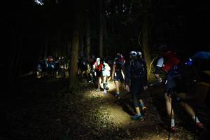 BIB: 
                            <button type="button" onclick="openModal(16056969)" class="btn btn-primary btn-sm float-right btn-popup" data-toggle="modal" data-target=".modal-high-quality">
                        <i class="fas fa-shopping-cart"></i> Add to Cart
                    </button>
                                            <button type="button" onclick="isThisMe(16056969, true)" class="btn btn-success btn-sm float-right btn-popup btn-isme hidden" data-toggle="tooltip" data-placement="bottom" title="นี่คือรูปของคุณใช่ไหม คลิกที่นี่เพื่อเอาเข้าอัลบั้ม">
                        <i class="fas fa-plus"></i> Add to album
                    </button>
                    <button type="button" onclick="isThisMe(16056969, false)" class="btn btn-warning btn-sm float-right btn-popup btn-isnotme hidden">
                        <i class="fas fa-ban"></i> Remove from album
                    </button>