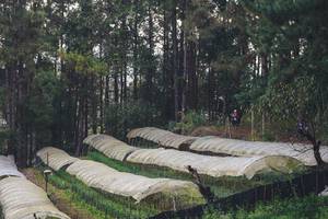 BIB: 
                            <button type="button" onclick="openModal(16056799)" class="btn btn-primary btn-sm float-right btn-popup" data-toggle="modal" data-target=".modal-high-quality">
                        <i class="fas fa-shopping-cart"></i> Add to Cart
                    </button>
                                            <button type="button" onclick="isThisMe(16056799, true)" class="btn btn-success btn-sm float-right btn-popup btn-isme hidden" data-toggle="tooltip" data-placement="bottom" title="นี่คือรูปของคุณใช่ไหม คลิกที่นี่เพื่อเอาเข้าอัลบั้ม">
                        <i class="fas fa-plus"></i> Add to album
                    </button>
                    <button type="button" onclick="isThisMe(16056799, false)" class="btn btn-warning btn-sm float-right btn-popup btn-isnotme hidden">
                        <i class="fas fa-ban"></i> Remove from album
                    </button>