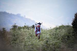 BIB: 
                            <button type="button" onclick="openModal(16059502)" class="btn btn-primary btn-sm float-right btn-popup" data-toggle="modal" data-target=".modal-high-quality">
                        <i class="fas fa-shopping-cart"></i> Add to Cart
                    </button>
                                            <button type="button" onclick="isThisMe(16059502, true)" class="btn btn-success btn-sm float-right btn-popup btn-isme hidden" data-toggle="tooltip" data-placement="bottom" title="นี่คือรูปของคุณใช่ไหม คลิกที่นี่เพื่อเอาเข้าอัลบั้ม">
                        <i class="fas fa-plus"></i> Add to album
                    </button>
                    <button type="button" onclick="isThisMe(16059502, false)" class="btn btn-warning btn-sm float-right btn-popup btn-isnotme hidden">
                        <i class="fas fa-ban"></i> Remove from album
                    </button>