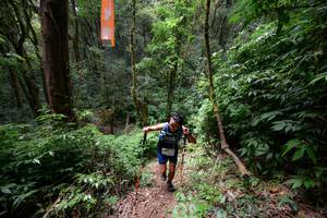 BIB: 
                            <button type="button" onclick="openModal(16059339)" class="btn btn-primary btn-sm float-right btn-popup" data-toggle="modal" data-target=".modal-high-quality">
                        <i class="fas fa-shopping-cart"></i> Add to Cart
                    </button>
                                            <button type="button" onclick="isThisMe(16059339, true)" class="btn btn-success btn-sm float-right btn-popup btn-isme hidden" data-toggle="tooltip" data-placement="bottom" title="นี่คือรูปของคุณใช่ไหม คลิกที่นี่เพื่อเอาเข้าอัลบั้ม">
                        <i class="fas fa-plus"></i> Add to album
                    </button>
                    <button type="button" onclick="isThisMe(16059339, false)" class="btn btn-warning btn-sm float-right btn-popup btn-isnotme hidden">
                        <i class="fas fa-ban"></i> Remove from album
                    </button>