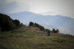 BIB: 
                            <button type="button" onclick="openModal(16059543)" class="btn btn-primary btn-sm float-right btn-popup" data-toggle="modal" data-target=".modal-high-quality">
                        <i class="fas fa-shopping-cart"></i> Add to Cart
                    </button>
                                            <button type="button" onclick="isThisMe(16059543, true)" class="btn btn-success btn-sm float-right btn-popup btn-isme hidden" data-toggle="tooltip" data-placement="bottom" title="นี่คือรูปของคุณใช่ไหม คลิกที่นี่เพื่อเอาเข้าอัลบั้ม">
                        <i class="fas fa-plus"></i> Add to album
                    </button>
                    <button type="button" onclick="isThisMe(16059543, false)" class="btn btn-warning btn-sm float-right btn-popup btn-isnotme hidden">
                        <i class="fas fa-ban"></i> Remove from album
                    </button>