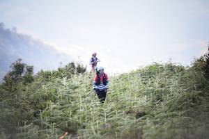 BIB: 
                            <button type="button" onclick="openModal(16059496)" class="btn btn-primary btn-sm float-right btn-popup" data-toggle="modal" data-target=".modal-high-quality">
                        <i class="fas fa-shopping-cart"></i> Add to Cart
                    </button>
                                            <button type="button" onclick="isThisMe(16059496, true)" class="btn btn-success btn-sm float-right btn-popup btn-isme hidden" data-toggle="tooltip" data-placement="bottom" title="นี่คือรูปของคุณใช่ไหม คลิกที่นี่เพื่อเอาเข้าอัลบั้ม">
                        <i class="fas fa-plus"></i> Add to album
                    </button>
                    <button type="button" onclick="isThisMe(16059496, false)" class="btn btn-warning btn-sm float-right btn-popup btn-isnotme hidden">
                        <i class="fas fa-ban"></i> Remove from album
                    </button>