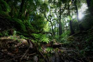 BIB: 
                            <button type="button" onclick="openModal(16059353)" class="btn btn-primary btn-sm float-right btn-popup" data-toggle="modal" data-target=".modal-high-quality">
                        <i class="fas fa-shopping-cart"></i> Add to Cart
                    </button>
                                            <button type="button" onclick="isThisMe(16059353, true)" class="btn btn-success btn-sm float-right btn-popup btn-isme hidden" data-toggle="tooltip" data-placement="bottom" title="นี่คือรูปของคุณใช่ไหม คลิกที่นี่เพื่อเอาเข้าอัลบั้ม">
                        <i class="fas fa-plus"></i> Add to album
                    </button>
                    <button type="button" onclick="isThisMe(16059353, false)" class="btn btn-warning btn-sm float-right btn-popup btn-isnotme hidden">
                        <i class="fas fa-ban"></i> Remove from album
                    </button>