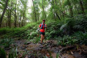 BIB: 
                            <button type="button" onclick="openModal(16059372)" class="btn btn-primary btn-sm float-right btn-popup" data-toggle="modal" data-target=".modal-high-quality">
                        <i class="fas fa-shopping-cart"></i> Add to Cart
                    </button>
                                            <button type="button" onclick="isThisMe(16059372, true)" class="btn btn-success btn-sm float-right btn-popup btn-isme hidden" data-toggle="tooltip" data-placement="bottom" title="นี่คือรูปของคุณใช่ไหม คลิกที่นี่เพื่อเอาเข้าอัลบั้ม">
                        <i class="fas fa-plus"></i> Add to album
                    </button>
                    <button type="button" onclick="isThisMe(16059372, false)" class="btn btn-warning btn-sm float-right btn-popup btn-isnotme hidden">
                        <i class="fas fa-ban"></i> Remove from album
                    </button>