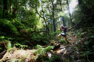 BIB: 
                            <button type="button" onclick="openModal(16059348)" class="btn btn-primary btn-sm float-right btn-popup" data-toggle="modal" data-target=".modal-high-quality">
                        <i class="fas fa-shopping-cart"></i> Add to Cart
                    </button>
                                            <button type="button" onclick="isThisMe(16059348, true)" class="btn btn-success btn-sm float-right btn-popup btn-isme hidden" data-toggle="tooltip" data-placement="bottom" title="นี่คือรูปของคุณใช่ไหม คลิกที่นี่เพื่อเอาเข้าอัลบั้ม">
                        <i class="fas fa-plus"></i> Add to album
                    </button>
                    <button type="button" onclick="isThisMe(16059348, false)" class="btn btn-warning btn-sm float-right btn-popup btn-isnotme hidden">
                        <i class="fas fa-ban"></i> Remove from album
                    </button>