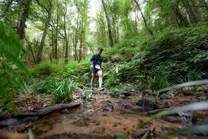 BIB: 
                            <button type="button" onclick="openModal(16059383)" class="btn btn-primary btn-sm float-right btn-popup" data-toggle="modal" data-target=".modal-high-quality">
                        <i class="fas fa-shopping-cart"></i> Add to Cart
                    </button>
                                            <button type="button" onclick="isThisMe(16059383, true)" class="btn btn-success btn-sm float-right btn-popup btn-isme hidden" data-toggle="tooltip" data-placement="bottom" title="นี่คือรูปของคุณใช่ไหม คลิกที่นี่เพื่อเอาเข้าอัลบั้ม">
                        <i class="fas fa-plus"></i> Add to album
                    </button>
                    <button type="button" onclick="isThisMe(16059383, false)" class="btn btn-warning btn-sm float-right btn-popup btn-isnotme hidden">
                        <i class="fas fa-ban"></i> Remove from album
                    </button>