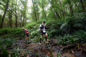 BIB: 
                            <button type="button" onclick="openModal(16059366)" class="btn btn-primary btn-sm float-right btn-popup" data-toggle="modal" data-target=".modal-high-quality">
                        <i class="fas fa-shopping-cart"></i> Add to Cart
                    </button>
                                            <button type="button" onclick="isThisMe(16059366, true)" class="btn btn-success btn-sm float-right btn-popup btn-isme hidden" data-toggle="tooltip" data-placement="bottom" title="นี่คือรูปของคุณใช่ไหม คลิกที่นี่เพื่อเอาเข้าอัลบั้ม">
                        <i class="fas fa-plus"></i> Add to album
                    </button>
                    <button type="button" onclick="isThisMe(16059366, false)" class="btn btn-warning btn-sm float-right btn-popup btn-isnotme hidden">
                        <i class="fas fa-ban"></i> Remove from album
                    </button>