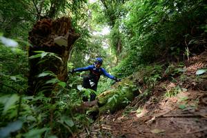 BIB: 
                            <button type="button" onclick="openModal(16059341)" class="btn btn-primary btn-sm float-right btn-popup" data-toggle="modal" data-target=".modal-high-quality">
                        <i class="fas fa-shopping-cart"></i> Add to Cart
                    </button>
                                            <button type="button" onclick="isThisMe(16059341, true)" class="btn btn-success btn-sm float-right btn-popup btn-isme hidden" data-toggle="tooltip" data-placement="bottom" title="นี่คือรูปของคุณใช่ไหม คลิกที่นี่เพื่อเอาเข้าอัลบั้ม">
                        <i class="fas fa-plus"></i> Add to album
                    </button>
                    <button type="button" onclick="isThisMe(16059341, false)" class="btn btn-warning btn-sm float-right btn-popup btn-isnotme hidden">
                        <i class="fas fa-ban"></i> Remove from album
                    </button>