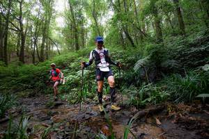 BIB: 
                            <button type="button" onclick="openModal(16059369)" class="btn btn-primary btn-sm float-right btn-popup" data-toggle="modal" data-target=".modal-high-quality">
                        <i class="fas fa-shopping-cart"></i> Add to Cart
                    </button>
                                            <button type="button" onclick="isThisMe(16059369, true)" class="btn btn-success btn-sm float-right btn-popup btn-isme hidden" data-toggle="tooltip" data-placement="bottom" title="นี่คือรูปของคุณใช่ไหม คลิกที่นี่เพื่อเอาเข้าอัลบั้ม">
                        <i class="fas fa-plus"></i> Add to album
                    </button>
                    <button type="button" onclick="isThisMe(16059369, false)" class="btn btn-warning btn-sm float-right btn-popup btn-isnotme hidden">
                        <i class="fas fa-ban"></i> Remove from album
                    </button>