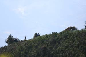 BIB: 
                            <button type="button" onclick="openModal(16059440)" class="btn btn-primary btn-sm float-right btn-popup" data-toggle="modal" data-target=".modal-high-quality">
                        <i class="fas fa-shopping-cart"></i> Add to Cart
                    </button>
                                            <button type="button" onclick="isThisMe(16059440, true)" class="btn btn-success btn-sm float-right btn-popup btn-isme hidden" data-toggle="tooltip" data-placement="bottom" title="นี่คือรูปของคุณใช่ไหม คลิกที่นี่เพื่อเอาเข้าอัลบั้ม">
                        <i class="fas fa-plus"></i> Add to album
                    </button>
                    <button type="button" onclick="isThisMe(16059440, false)" class="btn btn-warning btn-sm float-right btn-popup btn-isnotme hidden">
                        <i class="fas fa-ban"></i> Remove from album
                    </button>