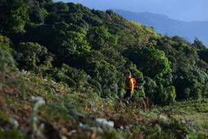 BIB: 
                            <button type="button" onclick="openModal(16059619)" class="btn btn-primary btn-sm float-right btn-popup" data-toggle="modal" data-target=".modal-high-quality">
                        <i class="fas fa-shopping-cart"></i> Add to Cart
                    </button>
                                            <button type="button" onclick="isThisMe(16059619, true)" class="btn btn-success btn-sm float-right btn-popup btn-isme hidden" data-toggle="tooltip" data-placement="bottom" title="นี่คือรูปของคุณใช่ไหม คลิกที่นี่เพื่อเอาเข้าอัลบั้ม">
                        <i class="fas fa-plus"></i> Add to album
                    </button>
                    <button type="button" onclick="isThisMe(16059619, false)" class="btn btn-warning btn-sm float-right btn-popup btn-isnotme hidden">
                        <i class="fas fa-ban"></i> Remove from album
                    </button>