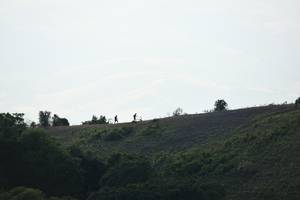 BIB: 
                            <button type="button" onclick="openModal(16059683)" class="btn btn-primary btn-sm float-right btn-popup" data-toggle="modal" data-target=".modal-high-quality">
                        <i class="fas fa-shopping-cart"></i> Add to Cart
                    </button>
                                            <button type="button" onclick="isThisMe(16059683, true)" class="btn btn-success btn-sm float-right btn-popup btn-isme hidden" data-toggle="tooltip" data-placement="bottom" title="นี่คือรูปของคุณใช่ไหม คลิกที่นี่เพื่อเอาเข้าอัลบั้ม">
                        <i class="fas fa-plus"></i> Add to album
                    </button>
                    <button type="button" onclick="isThisMe(16059683, false)" class="btn btn-warning btn-sm float-right btn-popup btn-isnotme hidden">
                        <i class="fas fa-ban"></i> Remove from album
                    </button>