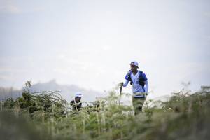 BIB: 
                            <button type="button" onclick="openModal(16059520)" class="btn btn-primary btn-sm float-right btn-popup" data-toggle="modal" data-target=".modal-high-quality">
                        <i class="fas fa-shopping-cart"></i> Add to Cart
                    </button>
                                            <button type="button" onclick="isThisMe(16059520, true)" class="btn btn-success btn-sm float-right btn-popup btn-isme hidden" data-toggle="tooltip" data-placement="bottom" title="นี่คือรูปของคุณใช่ไหม คลิกที่นี่เพื่อเอาเข้าอัลบั้ม">
                        <i class="fas fa-plus"></i> Add to album
                    </button>
                    <button type="button" onclick="isThisMe(16059520, false)" class="btn btn-warning btn-sm float-right btn-popup btn-isnotme hidden">
                        <i class="fas fa-ban"></i> Remove from album
                    </button>