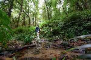 BIB: 
                            <button type="button" onclick="openModal(16059378)" class="btn btn-primary btn-sm float-right btn-popup" data-toggle="modal" data-target=".modal-high-quality">
                        <i class="fas fa-shopping-cart"></i> Add to Cart
                    </button>
                                            <button type="button" onclick="isThisMe(16059378, true)" class="btn btn-success btn-sm float-right btn-popup btn-isme hidden" data-toggle="tooltip" data-placement="bottom" title="นี่คือรูปของคุณใช่ไหม คลิกที่นี่เพื่อเอาเข้าอัลบั้ม">
                        <i class="fas fa-plus"></i> Add to album
                    </button>
                    <button type="button" onclick="isThisMe(16059378, false)" class="btn btn-warning btn-sm float-right btn-popup btn-isnotme hidden">
                        <i class="fas fa-ban"></i> Remove from album
                    </button>