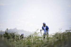 BIB: 
                            <button type="button" onclick="openModal(16059519)" class="btn btn-primary btn-sm float-right btn-popup" data-toggle="modal" data-target=".modal-high-quality">
                        <i class="fas fa-shopping-cart"></i> Add to Cart
                    </button>
                                            <button type="button" onclick="isThisMe(16059519, true)" class="btn btn-success btn-sm float-right btn-popup btn-isme hidden" data-toggle="tooltip" data-placement="bottom" title="นี่คือรูปของคุณใช่ไหม คลิกที่นี่เพื่อเอาเข้าอัลบั้ม">
                        <i class="fas fa-plus"></i> Add to album
                    </button>
                    <button type="button" onclick="isThisMe(16059519, false)" class="btn btn-warning btn-sm float-right btn-popup btn-isnotme hidden">
                        <i class="fas fa-ban"></i> Remove from album
                    </button>