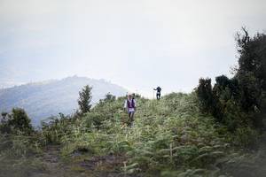 BIB: 
                            <button type="button" onclick="openModal(16059503)" class="btn btn-primary btn-sm float-right btn-popup" data-toggle="modal" data-target=".modal-high-quality">
                        <i class="fas fa-shopping-cart"></i> Add to Cart
                    </button>
                                            <button type="button" onclick="isThisMe(16059503, true)" class="btn btn-success btn-sm float-right btn-popup btn-isme hidden" data-toggle="tooltip" data-placement="bottom" title="นี่คือรูปของคุณใช่ไหม คลิกที่นี่เพื่อเอาเข้าอัลบั้ม">
                        <i class="fas fa-plus"></i> Add to album
                    </button>
                    <button type="button" onclick="isThisMe(16059503, false)" class="btn btn-warning btn-sm float-right btn-popup btn-isnotme hidden">
                        <i class="fas fa-ban"></i> Remove from album
                    </button>