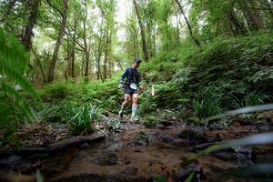 BIB: 
                            <button type="button" onclick="openModal(16059385)" class="btn btn-primary btn-sm float-right btn-popup" data-toggle="modal" data-target=".modal-high-quality">
                        <i class="fas fa-shopping-cart"></i> Add to Cart
                    </button>
                                            <button type="button" onclick="isThisMe(16059385, true)" class="btn btn-success btn-sm float-right btn-popup btn-isme hidden" data-toggle="tooltip" data-placement="bottom" title="นี่คือรูปของคุณใช่ไหม คลิกที่นี่เพื่อเอาเข้าอัลบั้ม">
                        <i class="fas fa-plus"></i> Add to album
                    </button>
                    <button type="button" onclick="isThisMe(16059385, false)" class="btn btn-warning btn-sm float-right btn-popup btn-isnotme hidden">
                        <i class="fas fa-ban"></i> Remove from album
                    </button>