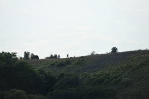 BIB: 
                            <button type="button" onclick="openModal(16059682)" class="btn btn-primary btn-sm float-right btn-popup" data-toggle="modal" data-target=".modal-high-quality">
                        <i class="fas fa-shopping-cart"></i> Add to Cart
                    </button>
                                            <button type="button" onclick="isThisMe(16059682, true)" class="btn btn-success btn-sm float-right btn-popup btn-isme hidden" data-toggle="tooltip" data-placement="bottom" title="นี่คือรูปของคุณใช่ไหม คลิกที่นี่เพื่อเอาเข้าอัลบั้ม">
                        <i class="fas fa-plus"></i> Add to album
                    </button>
                    <button type="button" onclick="isThisMe(16059682, false)" class="btn btn-warning btn-sm float-right btn-popup btn-isnotme hidden">
                        <i class="fas fa-ban"></i> Remove from album
                    </button>