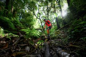 BIB: 
                            <button type="button" onclick="openModal(16059356)" class="btn btn-primary btn-sm float-right btn-popup" data-toggle="modal" data-target=".modal-high-quality">
                        <i class="fas fa-shopping-cart"></i> Add to Cart
                    </button>
                                            <button type="button" onclick="isThisMe(16059356, true)" class="btn btn-success btn-sm float-right btn-popup btn-isme hidden" data-toggle="tooltip" data-placement="bottom" title="นี่คือรูปของคุณใช่ไหม คลิกที่นี่เพื่อเอาเข้าอัลบั้ม">
                        <i class="fas fa-plus"></i> Add to album
                    </button>
                    <button type="button" onclick="isThisMe(16059356, false)" class="btn btn-warning btn-sm float-right btn-popup btn-isnotme hidden">
                        <i class="fas fa-ban"></i> Remove from album
                    </button>