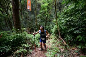 BIB: 
                            <button type="button" onclick="openModal(16059337)" class="btn btn-primary btn-sm float-right btn-popup" data-toggle="modal" data-target=".modal-high-quality">
                        <i class="fas fa-shopping-cart"></i> Add to Cart
                    </button>
                                            <button type="button" onclick="isThisMe(16059337, true)" class="btn btn-success btn-sm float-right btn-popup btn-isme hidden" data-toggle="tooltip" data-placement="bottom" title="นี่คือรูปของคุณใช่ไหม คลิกที่นี่เพื่อเอาเข้าอัลบั้ม">
                        <i class="fas fa-plus"></i> Add to album
                    </button>
                    <button type="button" onclick="isThisMe(16059337, false)" class="btn btn-warning btn-sm float-right btn-popup btn-isnotme hidden">
                        <i class="fas fa-ban"></i> Remove from album
                    </button>