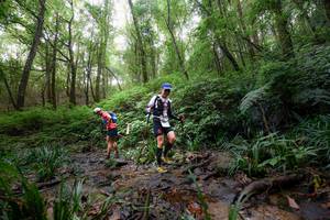 BIB: 
                            <button type="button" onclick="openModal(16059365)" class="btn btn-primary btn-sm float-right btn-popup" data-toggle="modal" data-target=".modal-high-quality">
                        <i class="fas fa-shopping-cart"></i> Add to Cart
                    </button>
                                            <button type="button" onclick="isThisMe(16059365, true)" class="btn btn-success btn-sm float-right btn-popup btn-isme hidden" data-toggle="tooltip" data-placement="bottom" title="นี่คือรูปของคุณใช่ไหม คลิกที่นี่เพื่อเอาเข้าอัลบั้ม">
                        <i class="fas fa-plus"></i> Add to album
                    </button>
                    <button type="button" onclick="isThisMe(16059365, false)" class="btn btn-warning btn-sm float-right btn-popup btn-isnotme hidden">
                        <i class="fas fa-ban"></i> Remove from album
                    </button>