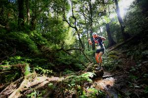 BIB: 
                            <button type="button" onclick="openModal(16059349)" class="btn btn-primary btn-sm float-right btn-popup" data-toggle="modal" data-target=".modal-high-quality">
                        <i class="fas fa-shopping-cart"></i> Add to Cart
                    </button>
                                            <button type="button" onclick="isThisMe(16059349, true)" class="btn btn-success btn-sm float-right btn-popup btn-isme hidden" data-toggle="tooltip" data-placement="bottom" title="นี่คือรูปของคุณใช่ไหม คลิกที่นี่เพื่อเอาเข้าอัลบั้ม">
                        <i class="fas fa-plus"></i> Add to album
                    </button>
                    <button type="button" onclick="isThisMe(16059349, false)" class="btn btn-warning btn-sm float-right btn-popup btn-isnotme hidden">
                        <i class="fas fa-ban"></i> Remove from album
                    </button>