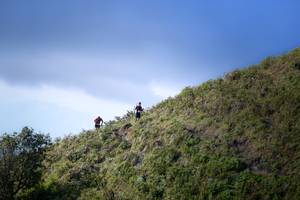 BIB: 
                            <button type="button" onclick="openModal(16059436)" class="btn btn-primary btn-sm float-right btn-popup" data-toggle="modal" data-target=".modal-high-quality">
                        <i class="fas fa-shopping-cart"></i> Add to Cart
                    </button>
                                            <button type="button" onclick="isThisMe(16059436, true)" class="btn btn-success btn-sm float-right btn-popup btn-isme hidden" data-toggle="tooltip" data-placement="bottom" title="นี่คือรูปของคุณใช่ไหม คลิกที่นี่เพื่อเอาเข้าอัลบั้ม">
                        <i class="fas fa-plus"></i> Add to album
                    </button>
                    <button type="button" onclick="isThisMe(16059436, false)" class="btn btn-warning btn-sm float-right btn-popup btn-isnotme hidden">
                        <i class="fas fa-ban"></i> Remove from album
                    </button>