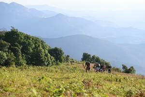 BIB: 
                            <button type="button" onclick="openModal(16059603)" class="btn btn-primary btn-sm float-right btn-popup" data-toggle="modal" data-target=".modal-high-quality">
                        <i class="fas fa-shopping-cart"></i> Add to Cart
                    </button>
                                            <button type="button" onclick="isThisMe(16059603, true)" class="btn btn-success btn-sm float-right btn-popup btn-isme hidden" data-toggle="tooltip" data-placement="bottom" title="นี่คือรูปของคุณใช่ไหม คลิกที่นี่เพื่อเอาเข้าอัลบั้ม">
                        <i class="fas fa-plus"></i> Add to album
                    </button>
                    <button type="button" onclick="isThisMe(16059603, false)" class="btn btn-warning btn-sm float-right btn-popup btn-isnotme hidden">
                        <i class="fas fa-ban"></i> Remove from album
                    </button>