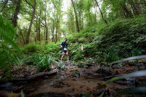 BIB: 
                            <button type="button" onclick="openModal(16059380)" class="btn btn-primary btn-sm float-right btn-popup" data-toggle="modal" data-target=".modal-high-quality">
                        <i class="fas fa-shopping-cart"></i> Add to Cart
                    </button>
                                            <button type="button" onclick="isThisMe(16059380, true)" class="btn btn-success btn-sm float-right btn-popup btn-isme hidden" data-toggle="tooltip" data-placement="bottom" title="นี่คือรูปของคุณใช่ไหม คลิกที่นี่เพื่อเอาเข้าอัลบั้ม">
                        <i class="fas fa-plus"></i> Add to album
                    </button>
                    <button type="button" onclick="isThisMe(16059380, false)" class="btn btn-warning btn-sm float-right btn-popup btn-isnotme hidden">
                        <i class="fas fa-ban"></i> Remove from album
                    </button>