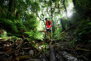 BIB: 
                            <button type="button" onclick="openModal(16059361)" class="btn btn-primary btn-sm float-right btn-popup" data-toggle="modal" data-target=".modal-high-quality">
                        <i class="fas fa-shopping-cart"></i> Add to Cart
                    </button>
                                            <button type="button" onclick="isThisMe(16059361, true)" class="btn btn-success btn-sm float-right btn-popup btn-isme hidden" data-toggle="tooltip" data-placement="bottom" title="นี่คือรูปของคุณใช่ไหม คลิกที่นี่เพื่อเอาเข้าอัลบั้ม">
                        <i class="fas fa-plus"></i> Add to album
                    </button>
                    <button type="button" onclick="isThisMe(16059361, false)" class="btn btn-warning btn-sm float-right btn-popup btn-isnotme hidden">
                        <i class="fas fa-ban"></i> Remove from album
                    </button>