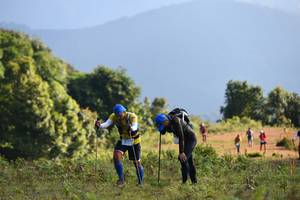 BIB: 
                            <button type="button" onclick="openModal(16059611)" class="btn btn-primary btn-sm float-right btn-popup" data-toggle="modal" data-target=".modal-high-quality">
                        <i class="fas fa-shopping-cart"></i> Add to Cart
                    </button>
                                            <button type="button" onclick="isThisMe(16059611, true)" class="btn btn-success btn-sm float-right btn-popup btn-isme hidden" data-toggle="tooltip" data-placement="bottom" title="นี่คือรูปของคุณใช่ไหม คลิกที่นี่เพื่อเอาเข้าอัลบั้ม">
                        <i class="fas fa-plus"></i> Add to album
                    </button>
                    <button type="button" onclick="isThisMe(16059611, false)" class="btn btn-warning btn-sm float-right btn-popup btn-isnotme hidden">
                        <i class="fas fa-ban"></i> Remove from album
                    </button>