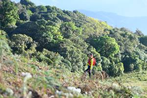 BIB: 
                            <button type="button" onclick="openModal(16059624)" class="btn btn-primary btn-sm float-right btn-popup" data-toggle="modal" data-target=".modal-high-quality">
                        <i class="fas fa-shopping-cart"></i> Add to Cart
                    </button>
                                            <button type="button" onclick="isThisMe(16059624, true)" class="btn btn-success btn-sm float-right btn-popup btn-isme hidden" data-toggle="tooltip" data-placement="bottom" title="นี่คือรูปของคุณใช่ไหม คลิกที่นี่เพื่อเอาเข้าอัลบั้ม">
                        <i class="fas fa-plus"></i> Add to album
                    </button>
                    <button type="button" onclick="isThisMe(16059624, false)" class="btn btn-warning btn-sm float-right btn-popup btn-isnotme hidden">
                        <i class="fas fa-ban"></i> Remove from album
                    </button>