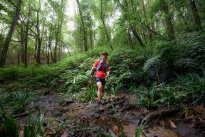 BIB: 
                            <button type="button" onclick="openModal(16059371)" class="btn btn-primary btn-sm float-right btn-popup" data-toggle="modal" data-target=".modal-high-quality">
                        <i class="fas fa-shopping-cart"></i> Add to Cart
                    </button>
                                            <button type="button" onclick="isThisMe(16059371, true)" class="btn btn-success btn-sm float-right btn-popup btn-isme hidden" data-toggle="tooltip" data-placement="bottom" title="นี่คือรูปของคุณใช่ไหม คลิกที่นี่เพื่อเอาเข้าอัลบั้ม">
                        <i class="fas fa-plus"></i> Add to album
                    </button>
                    <button type="button" onclick="isThisMe(16059371, false)" class="btn btn-warning btn-sm float-right btn-popup btn-isnotme hidden">
                        <i class="fas fa-ban"></i> Remove from album
                    </button>